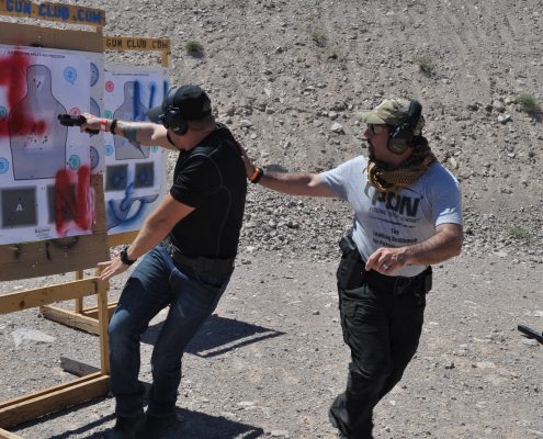 DSC_0172-495x400 (1)