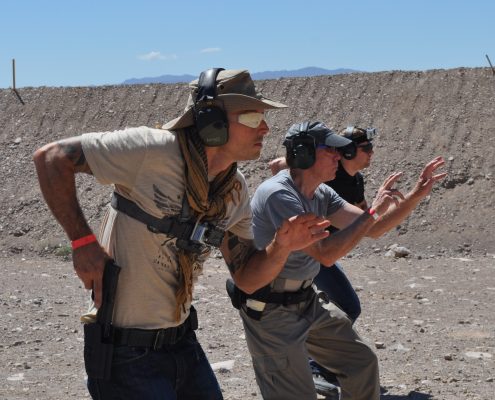 DSC_0803-495x400 (1)