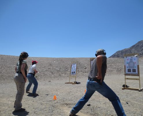 IMG_1411-495x400 (1)